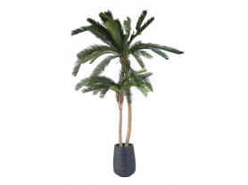 Palmera decorativa